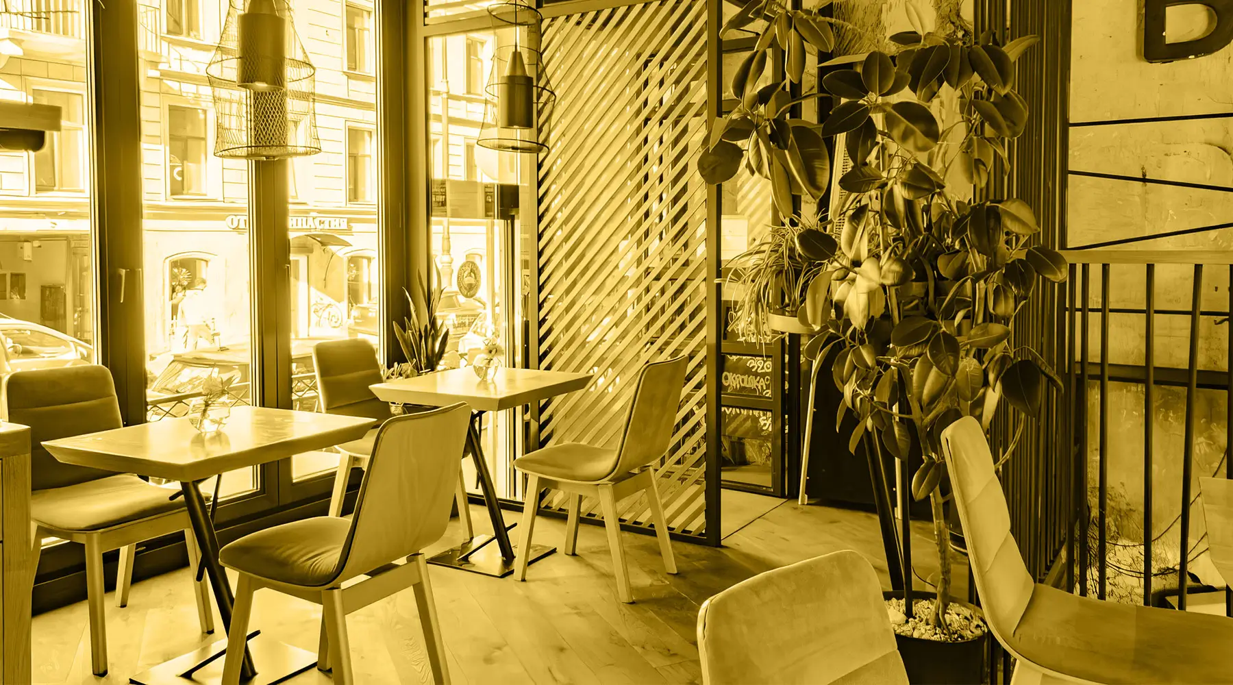 Featured image for “Best Restaurant Types for Bariatric Patients Nationwide”